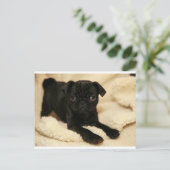 Zwart Pug Puppy Briefkaart (Staand voorkant)