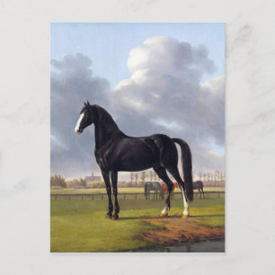 Zwart Race Paard circa 1828 Briefkaart