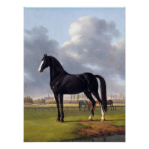 Zwart Race Paard circa 1828