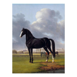Zwart Race Paard circa 1828 Perfect Poster