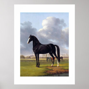 Zwart Race Paard circa 1828 Poster