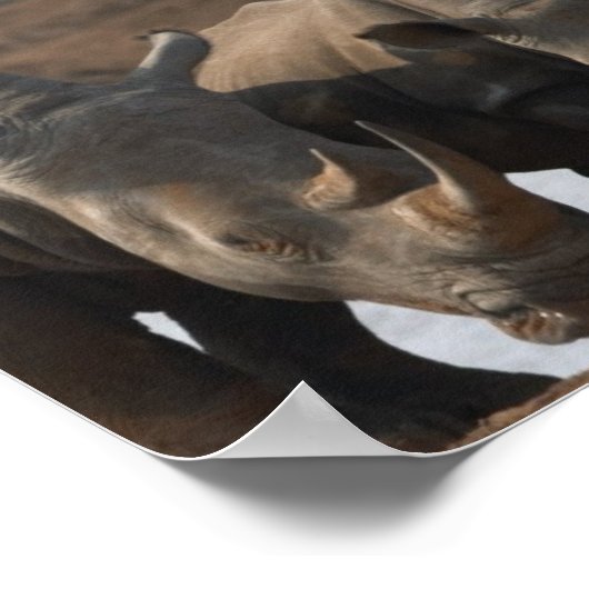 Zwart-rhinoPoster afdrukken Poster (Hoek)