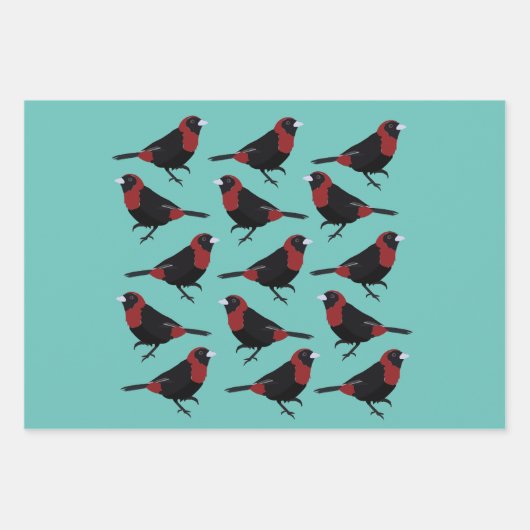 Zwart Rood Crimson-Collared Tanager Vogelzangvogel Inpakpapier Vel (Voorkant 2)