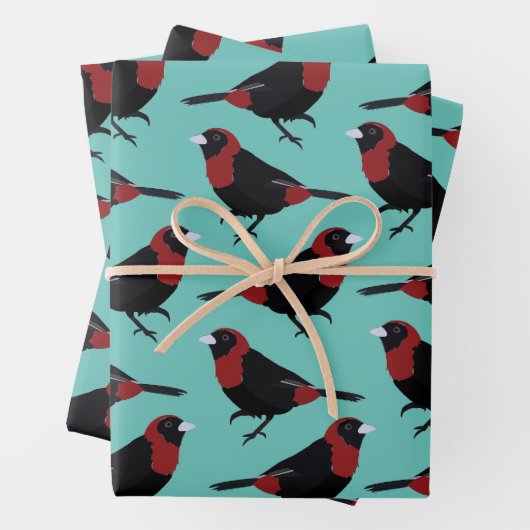 Zwart Rood Crimson-Collared Tanager Vogelzangvogel Inpakpapier Vel (In situ)