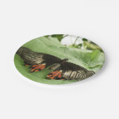 zwart rood en goudvlinder Bord (Gekanteld)