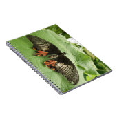 zwart rood en goudvlinder Notitieboek (Rechterzijde)