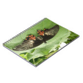 zwart rood en goudvlinder Notitieboek (Linkerzijde)