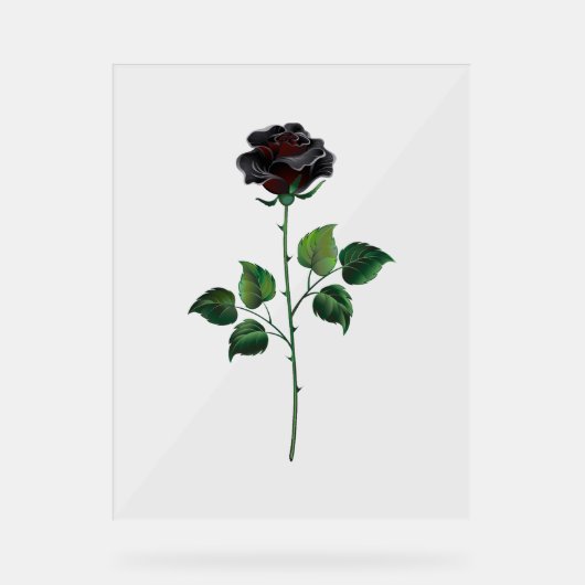 Zwart roos acryl bord (Voorkant)