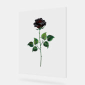 Zwart roos acryl bord (Hoek)
