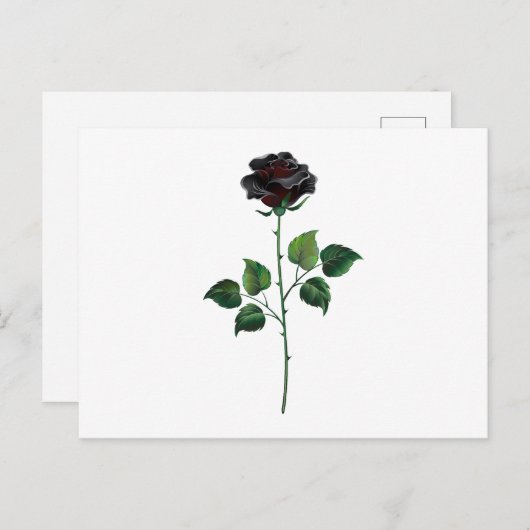 Zwart roos briefkaart (Voorkant / Achterkant)