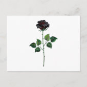 Zwart roos briefkaart (Voorkant)