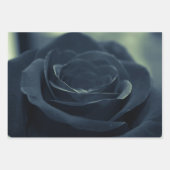 Zwart Roos Flower Dark Gothic Vibe Inpakpapier Vel (Voorkant 3)