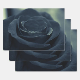 Zwart Roos Flower Dark Gothic Vibe Inpakpapier Vel
