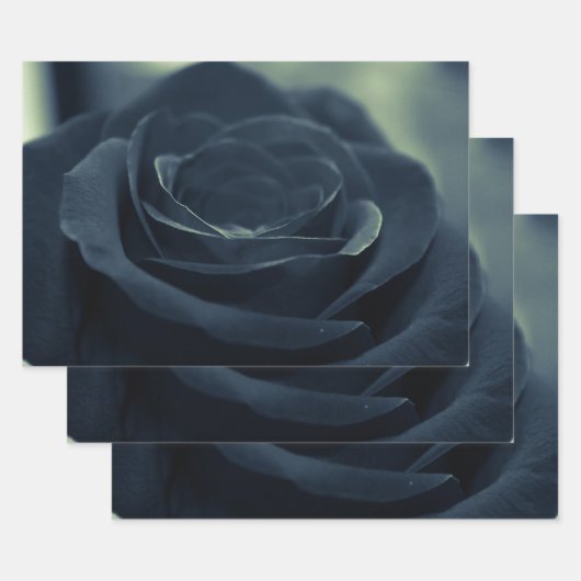 Zwart Roos Flower Dark Gothic Vibe Inpakpapier Vel (Set)