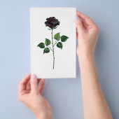 Zwart roos flyer (Hand)