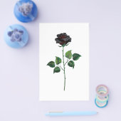 Zwart roos flyer (Enkel)