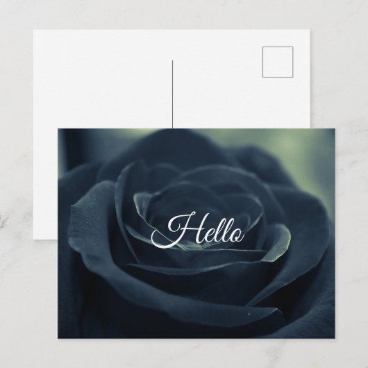 Zwart Roos Hallo Flower Dark Gothic Vibe Briefkaart (Voorkant / Achterkant)