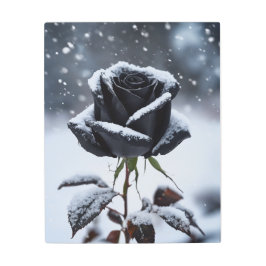 Zwart Roos in de sneeuw - Moody Winter Floral