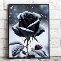 Zwart Roos in de sneeuw - Moody Winter Floral Art