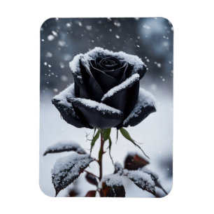 Zwart Roos in de sneeuw - Moody Winter Floral Magneet