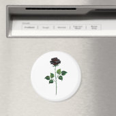 Zwart roos magneet (Insitu (Vaatwasser))