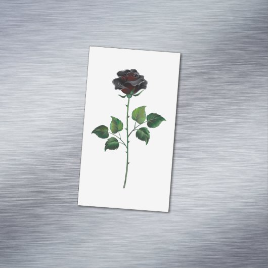 Zwart roos magnetisch visitekaartje (Voorbeeld)