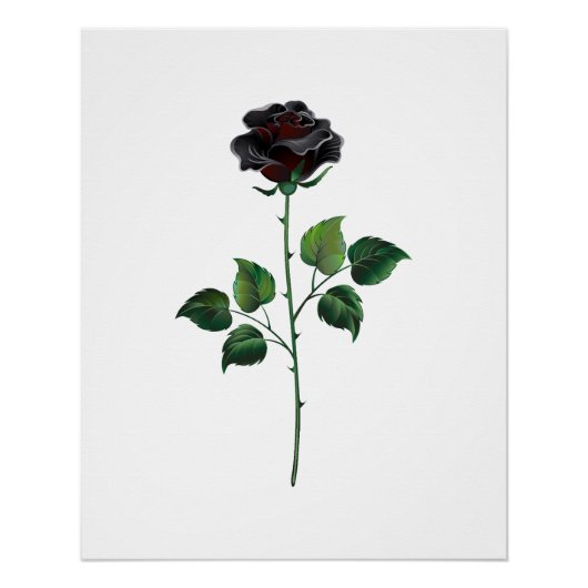 Zwart roos perfect poster (Voorkant)