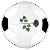 Zwart roos voetbal (Gedraaid)