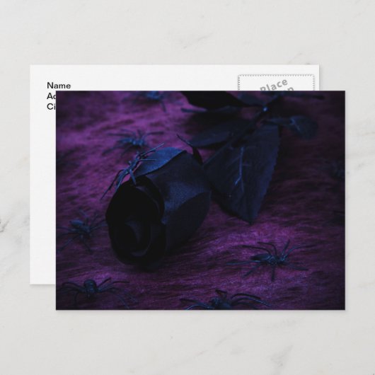 Zwart Rozen Briefkaart (Voorkant / Achterkant)