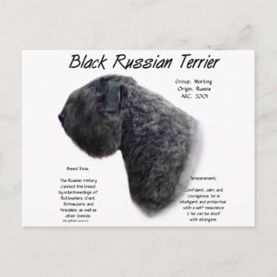 Zwart Russisch Terrier Geschiedenis Ontwerp Briefkaart