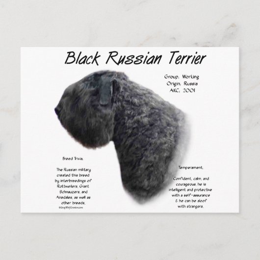 Zwart Russisch Terrier Geschiedenis Ontwerp Briefkaart (Voorkant)