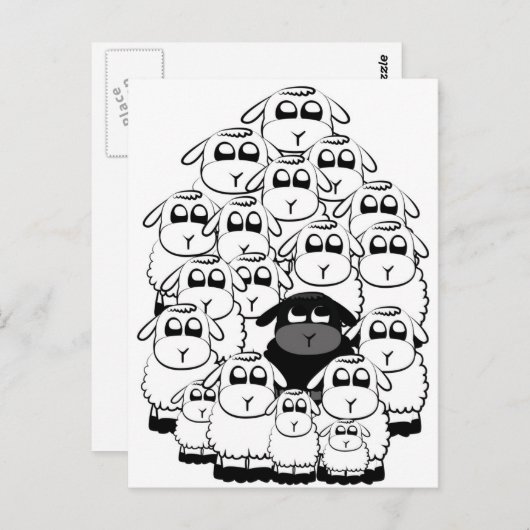 Zwart schapen briefkaart (Voorkant / Achterkant)