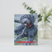 Zwart Shepadoodle Hond Fotografisch Briefkaart (Staand voorkant)