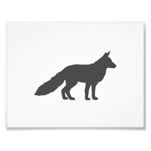 Zwart silhouet van een fluffy Fox Foto Afdruk (Voorkant)