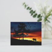 Zwart silhouet van Wolf, vogels en bomen in de zon Briefkaart (Staand voorkant)