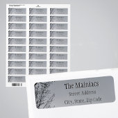 Zwart Silhouette Tree Branches Grijs Retour Adres Etiket