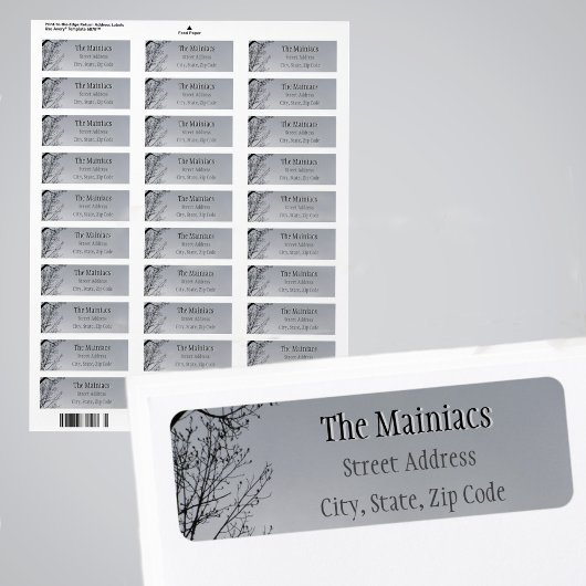 Zwart Silhouette Tree Branches Grijs Retour Adres Etiket