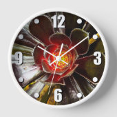 Zwart sinaasappel cactus vet succulent foto modern (Voorkant)