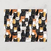 Zwart Sinaasappel Wit Katten Briefkaart (Voorkant)