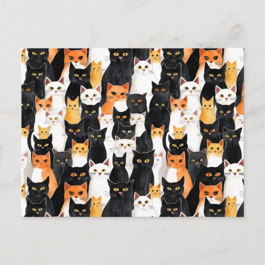 Zwart Sinaasappel Wit Katten Briefkaart (Voorkant)