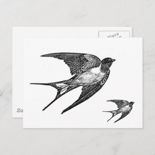  zwart slipontwerp briefkaart (Voorkant / Achterkant)