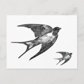 zwart slipontwerp briefkaart (Voorkant)