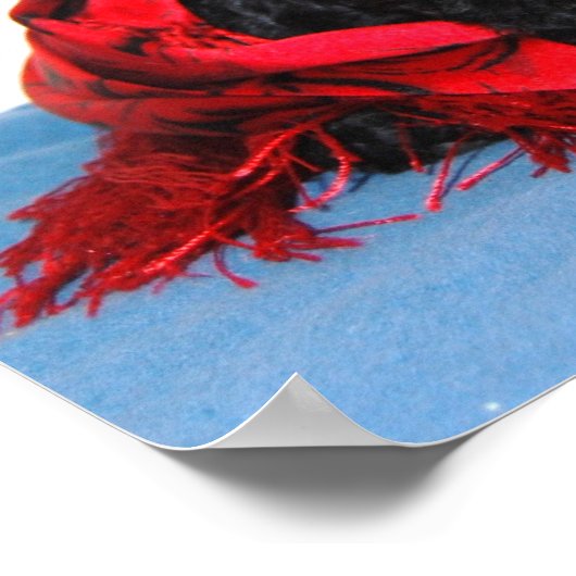 Zwart Speelgoed Poodle puppy met rode sjaal Poster (Hoek)