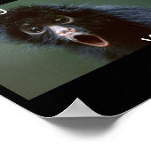 Zwart-spin-aap bewerkt, dat deed je, WAT!!!!! Poster (Hoek)