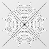 Zwart spinnenweb Halloween patroon Raamsticker (Vel)