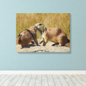 Zwart-staart Prairie Dog Canvas Print (Insitu (Houten vloer))