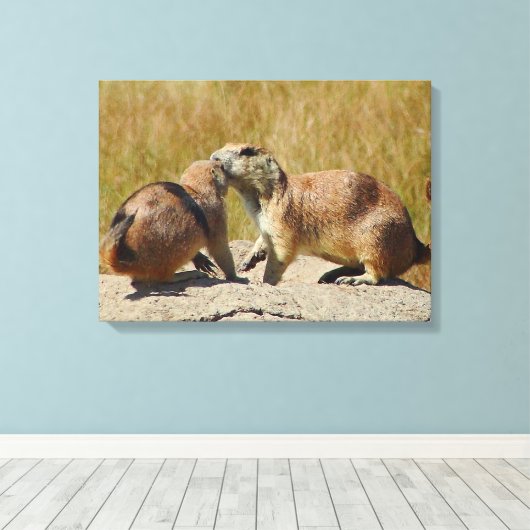 Zwart-staart Prairie Dog Canvas Print (Insitu (Houten vloer))