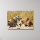 Zwart-staart Prairie Dog Canvas Print (Voorkant)
