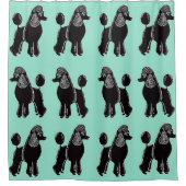 Zwart standaardspecht Aqua Mint Showgordijn Douchegordijn (Voorkant)