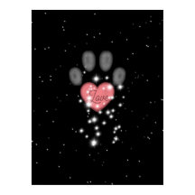 Zwart Starlight Roze Hart Hond Paw Print Pet Name